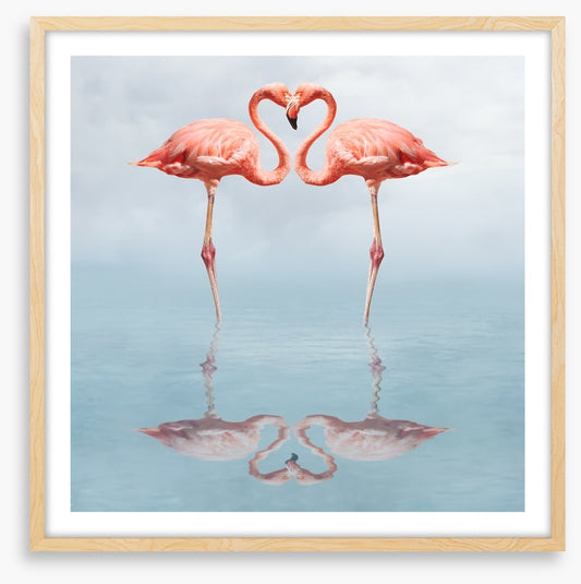 Lovebirds