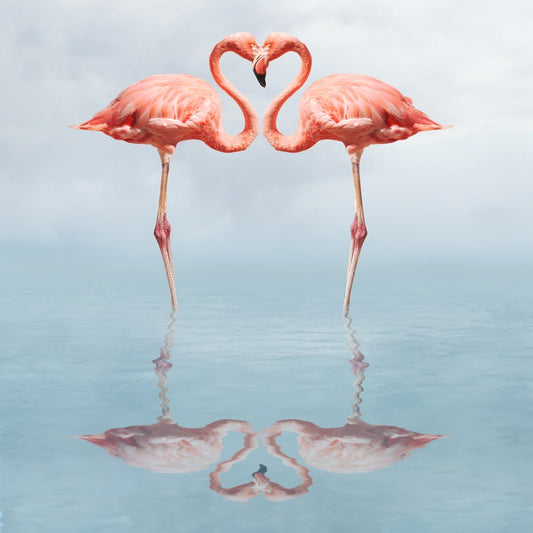 Lovebirds