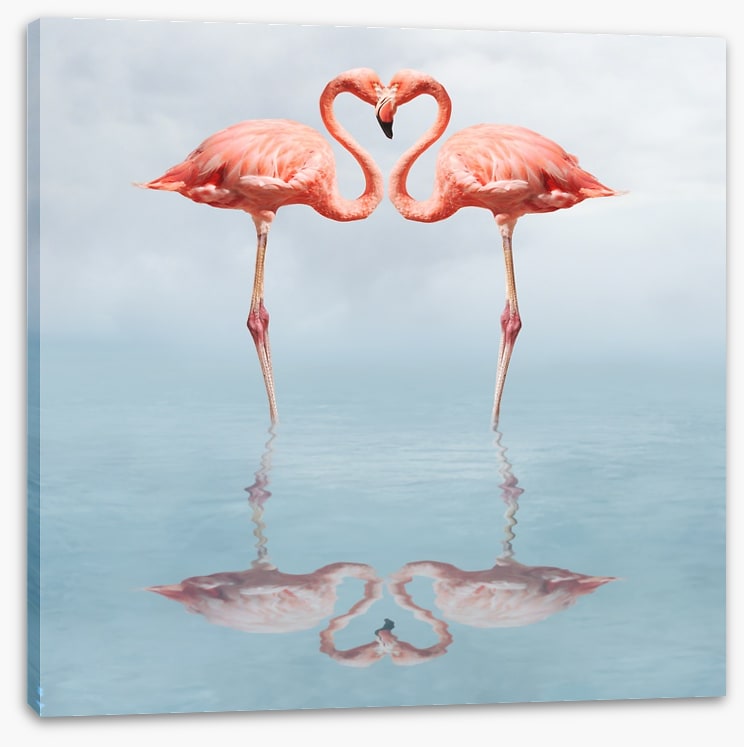 Lovebirds