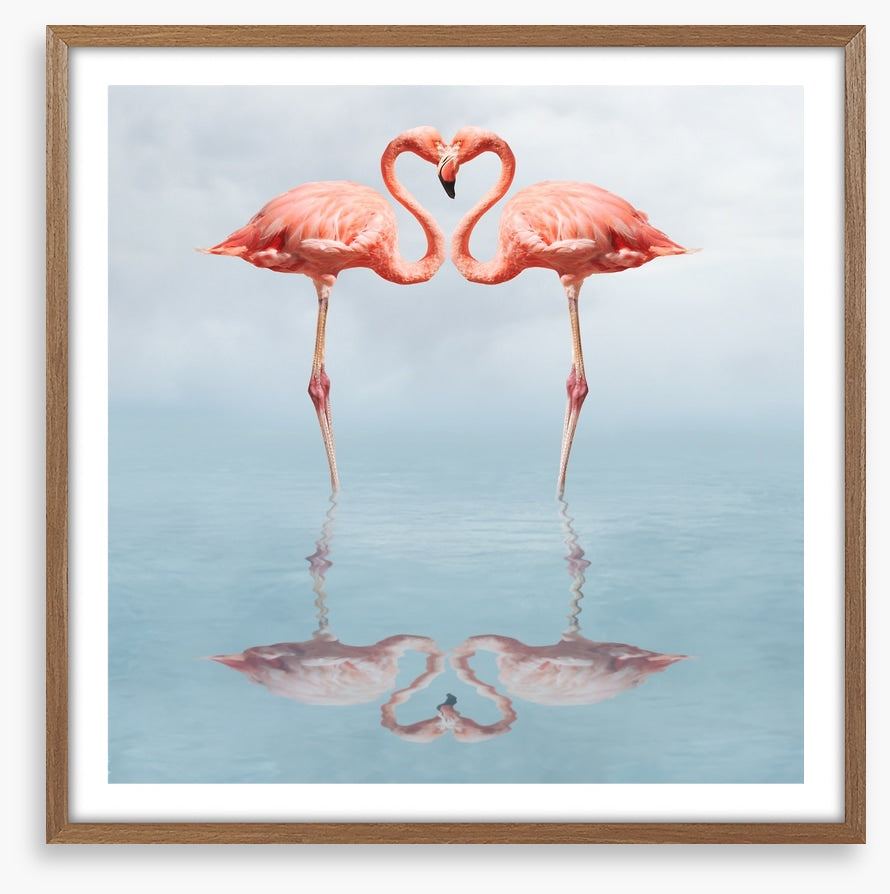 Lovebirds