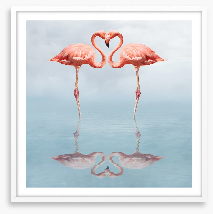 Lovebirds
