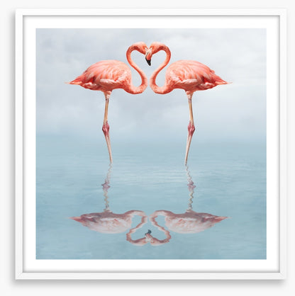 Lovebirds