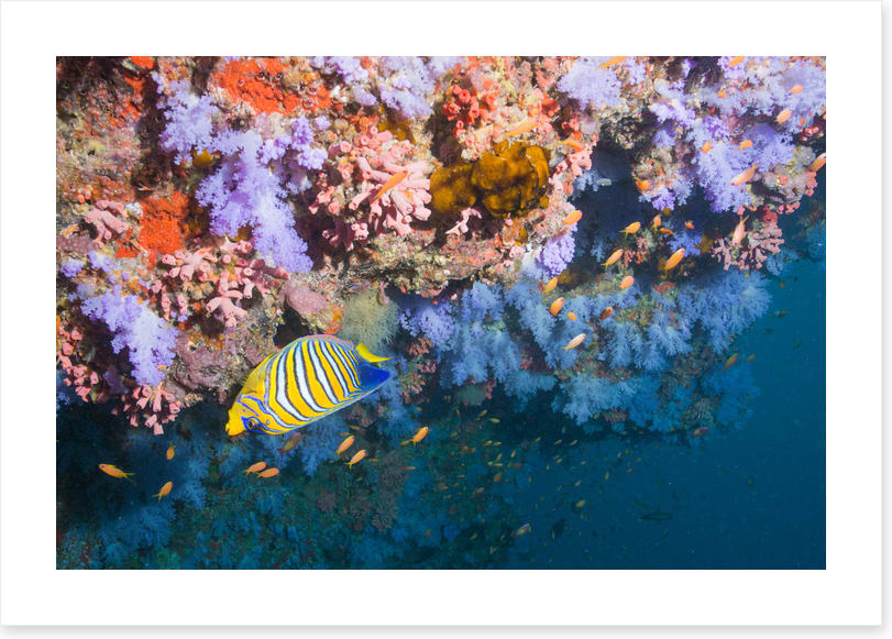 Underwater