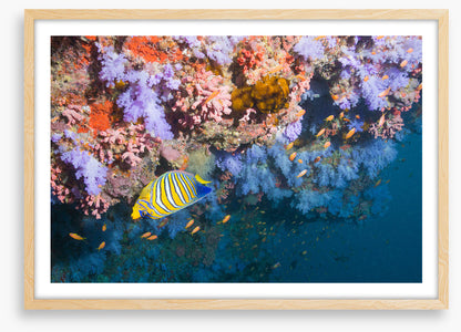 Underwater