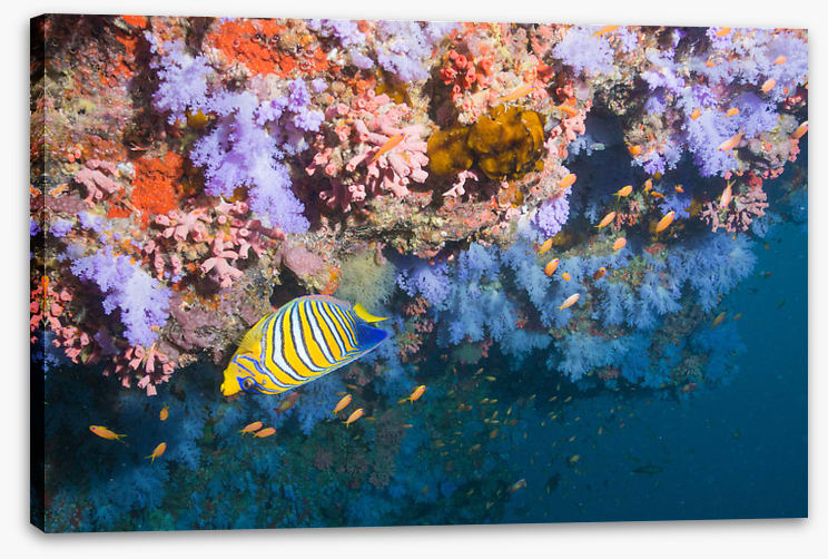 Underwater