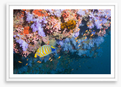 Underwater