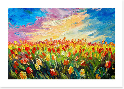 Tulips at sunrise