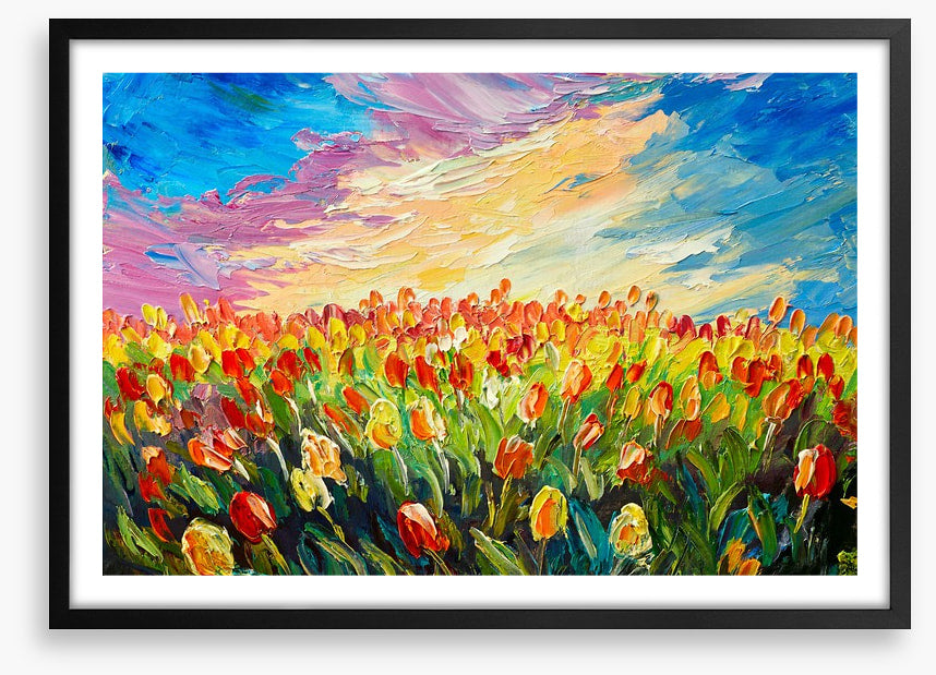 Tulips at sunrise
