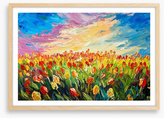 Tulips at sunrise