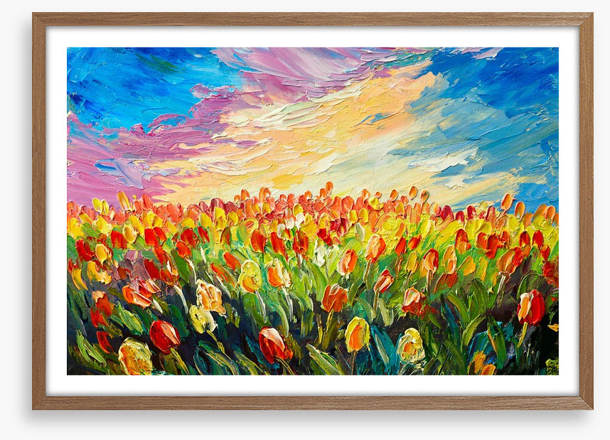 Tulips at sunrise