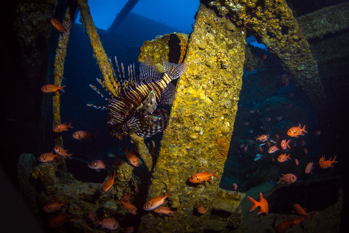 Underwater