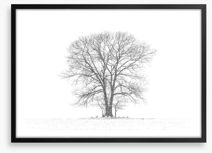 Standing alone