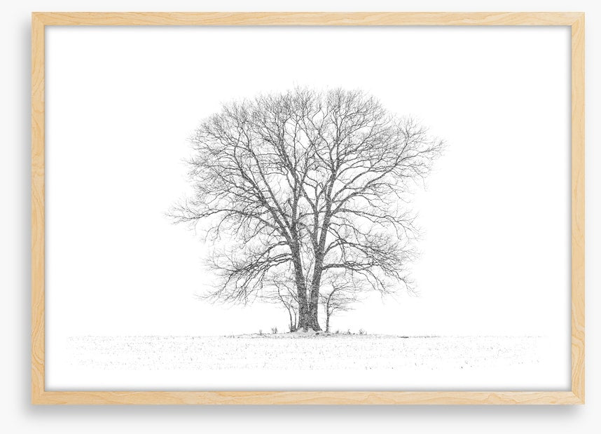 Standing alone