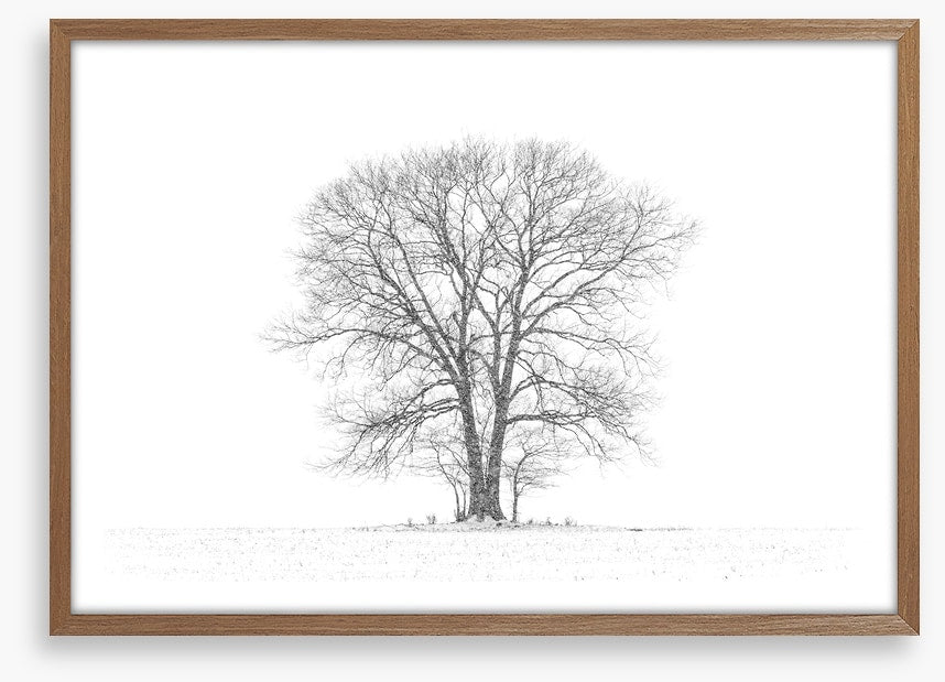 Standing alone