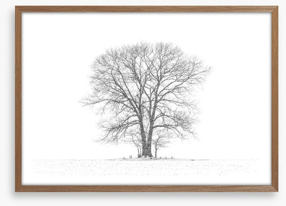 Standing alone
