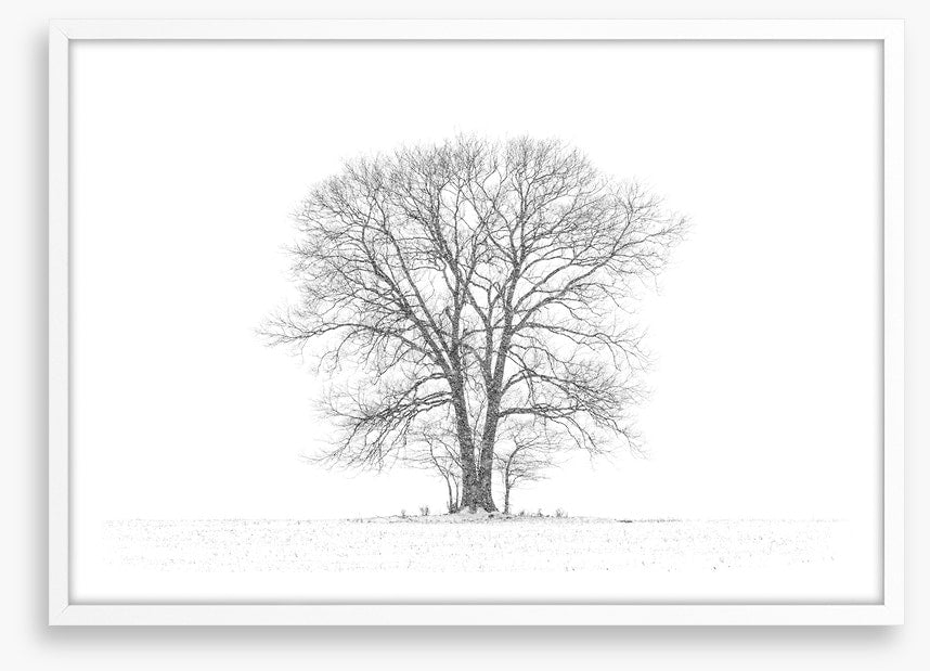 Standing alone