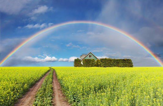Rainbows