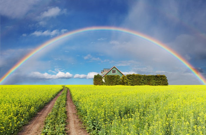 Rainbows