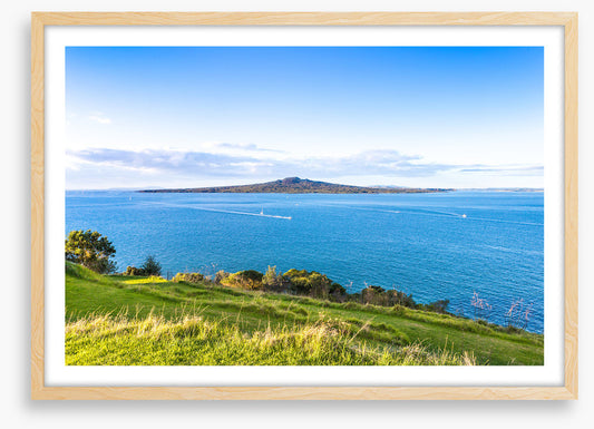 Rangitoto island