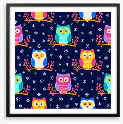 Owls