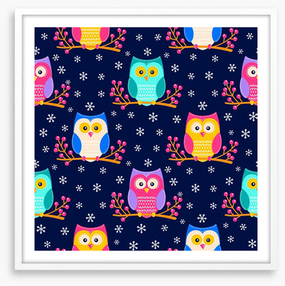Owls