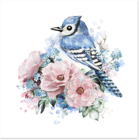 Forget me not jay