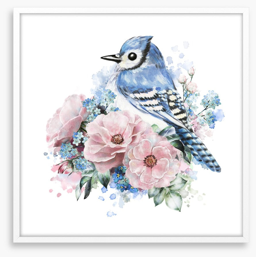 Forget me not jay
