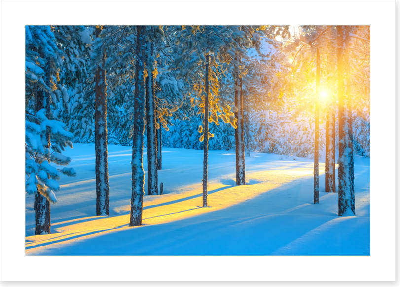 Sunbeam in the snow