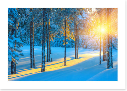 Sunbeam in the snow