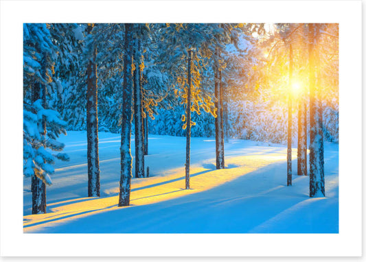 Sunbeam in the snow