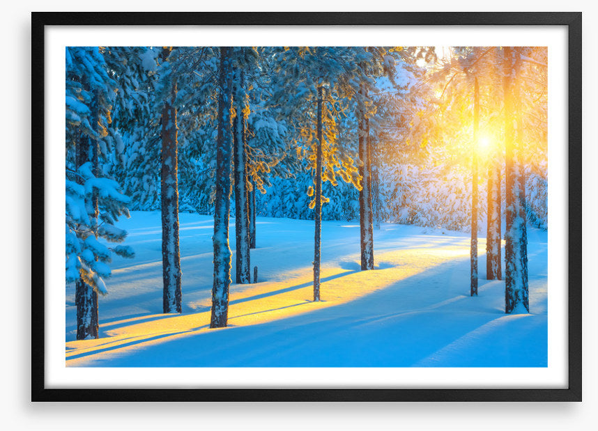 Sunbeam in the snow