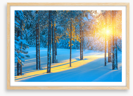 Sunbeam in the snow