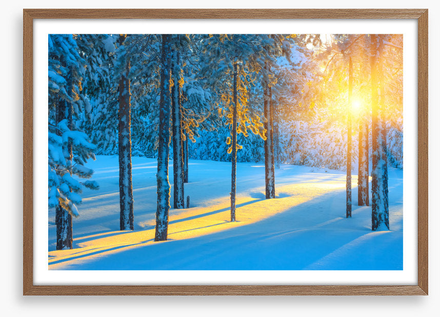 Sunbeam in the snow