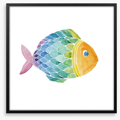 Rainbow fish
