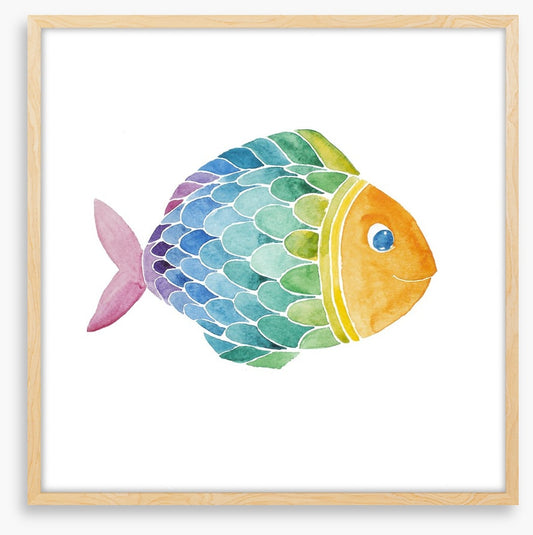 Rainbow fish