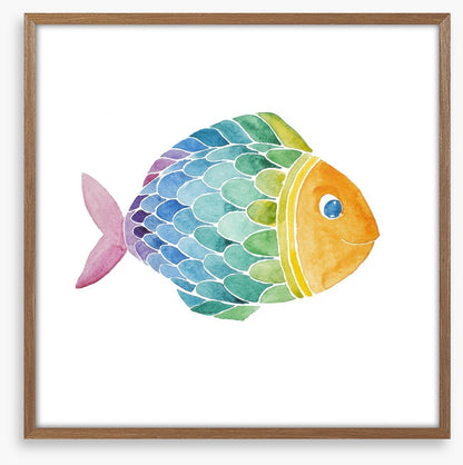 Rainbow fish