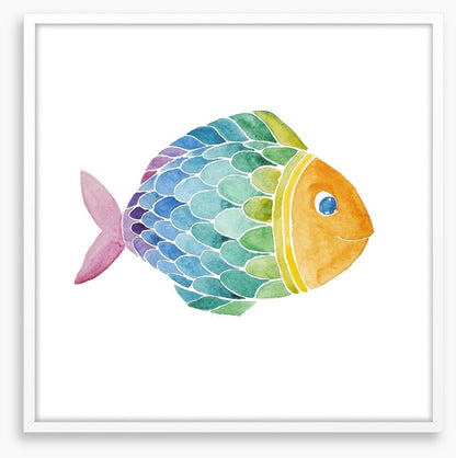 Rainbow fish