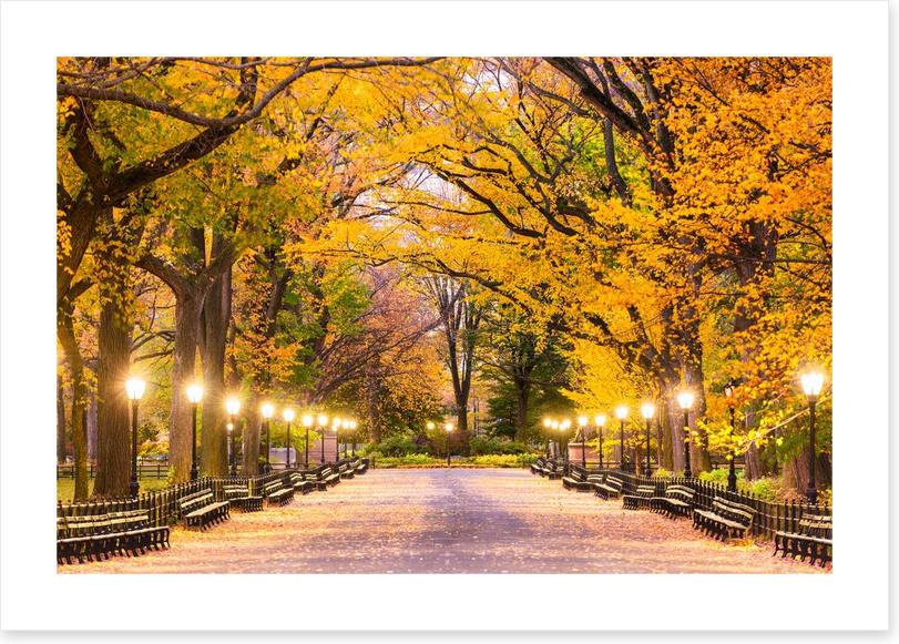Fall at the Mall