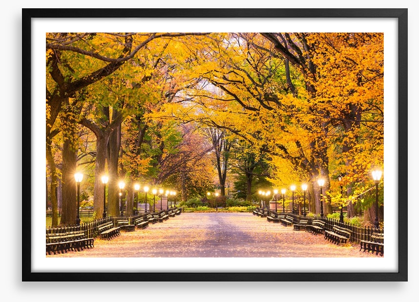 Fall at the Mall
