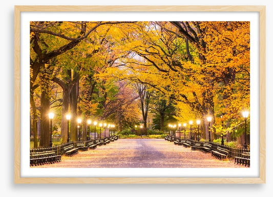 Fall at the Mall