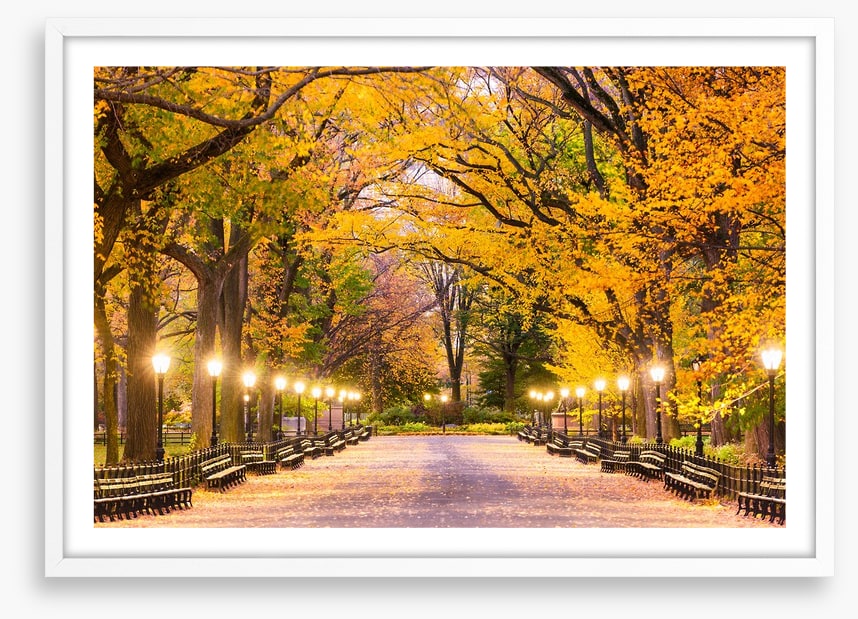 Fall at the Mall