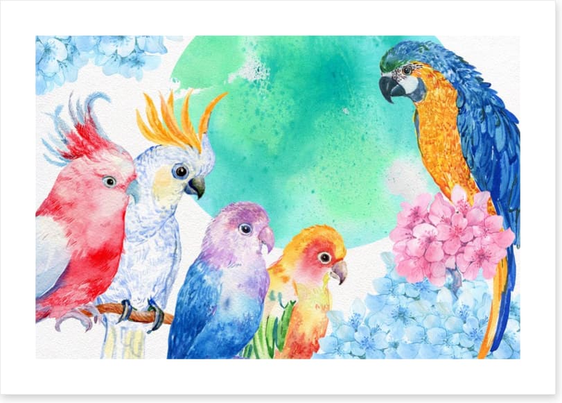 Parrot party