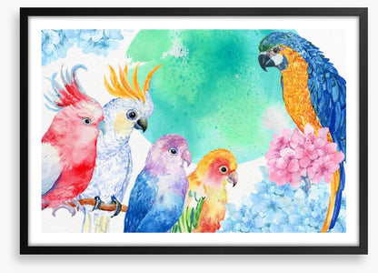 Parrot party