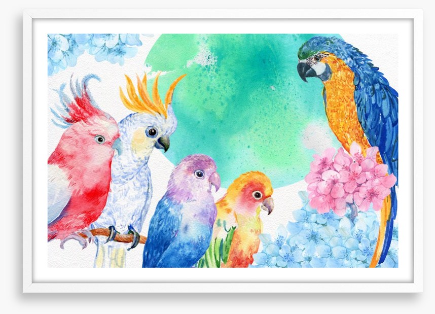 Parrot party