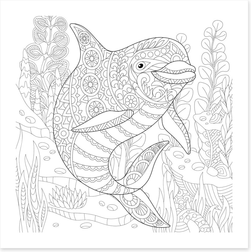 Colour me dolphin