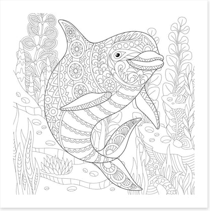 Colour me dolphin