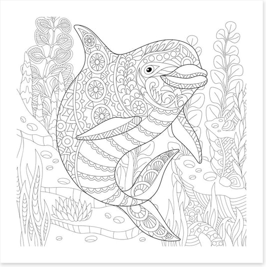 Colour me dolphin