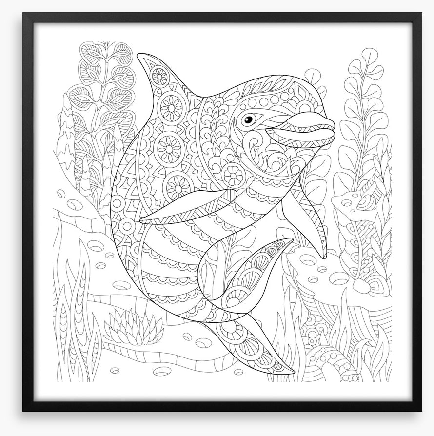 Colour me dolphin