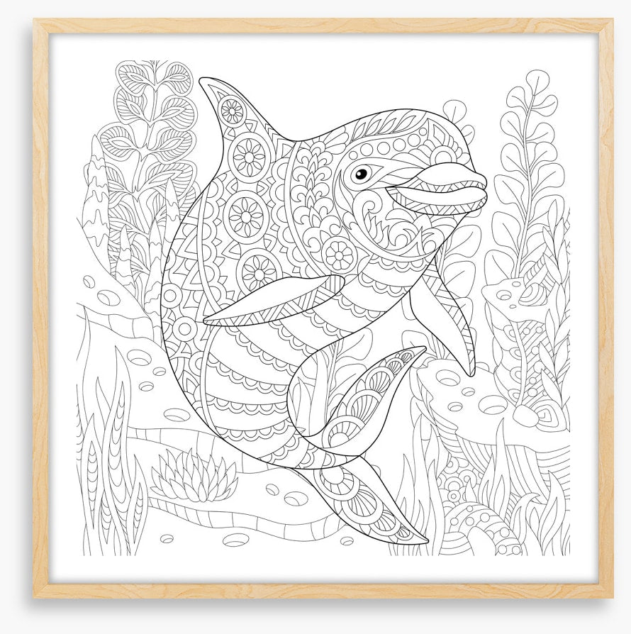 Colour me dolphin