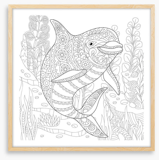 Colour me dolphin